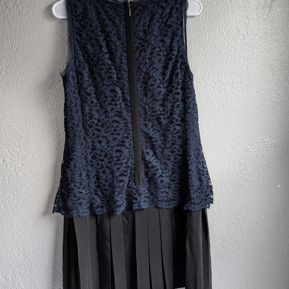 Rebecca Taylor Sleeveless Lace Miz Pleat Dress - Picture 11 of 16